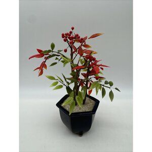 Vintage Japan Glass Berry Bonsai Tree Sculpture Green Red READ Ceramic Pot